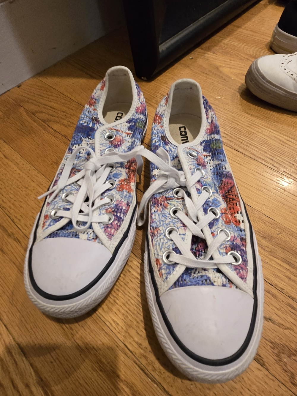 Low-Top Canvas Sneakers in Multicolor Paint-Print